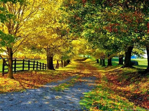 Autumn Sunny Day Free Wallpapers Desktop Background