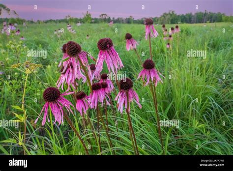 The Door County Land Trust Protects Over 8000 Acres In Door County Wisconsin 14 Of Their