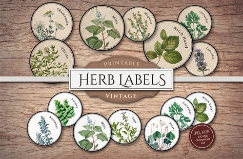 Printable Herb Labels Png Pdf Sheets Green Witch Etsy