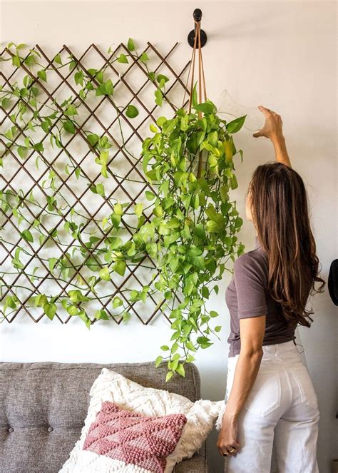 Fabulous Wall Decor With The Indoor Hanging Plants Decora O Das