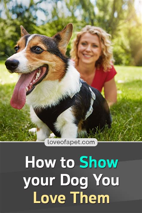 How To Show Your Dog You Love Them 10 Ways Love Of A Pet Dogs Dog