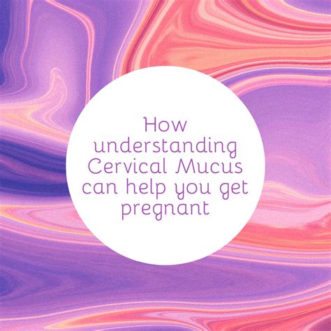 After pregnancy, there will still be some creamy white cervical mucus but there will no longer be any stretchy cervical mucus because no further ovulations very fertile women have been known not to have a period after pregnancy and will go on to be pregnant at the very first possible ovulation time. How understanding Cervical Mucus can help you get pregnant | Cervical mucus, Mucus, Pregnant faster