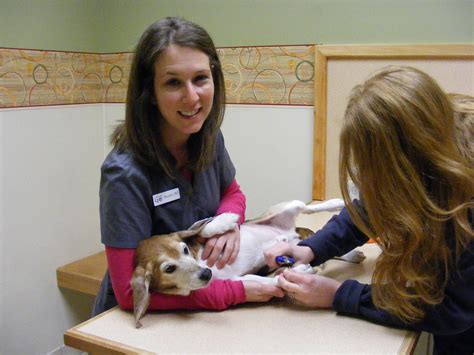 Check out these videos that are aimed at keeping them healthy all year. Gate City Animal Hospital | Best4Pets