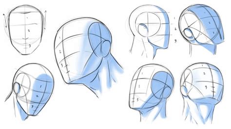 Loomis Method To Draw Human Facial Expressions Like A Pro Drawing Heads Face Drawing Figure