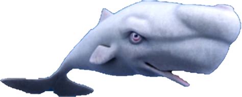 Moby Dick Hungry Shark Evolution Wiki Fandom