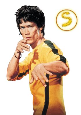 Quest of the dragon kato the of bruce lee, bruce lee, celebrities, physical fitness png. Free transparent Philosopher PNG images Download | PurePNG ...