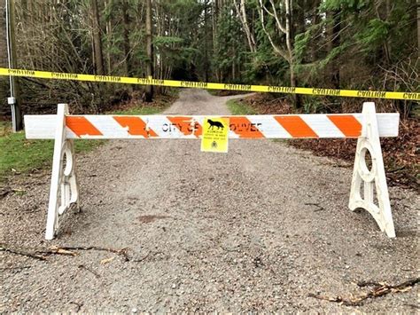 Trails In Vancouvers Stanley Park Closed Due To Aggressive Coyote