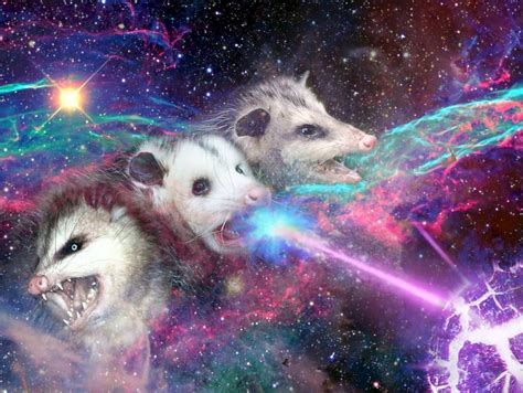 Two Ferrets Are In The Middle Of A Space Filled With Stars And Other Things