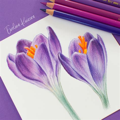 How To Draw Flowers With Colored Pencils A Step By Step Tutorial