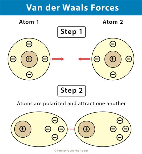 Hydrogen bonding is an example of van der waals bonding which has great importance in the properties of water and its behavior in biochemistry. Van der Waals Forces (Bond): Definition, Examples, & Diagrams