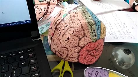Cerebro En D Youtube