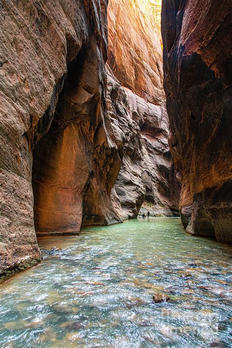 Gorgeous Colors Hike The Narrows Zion National Park Photograph By Wayne