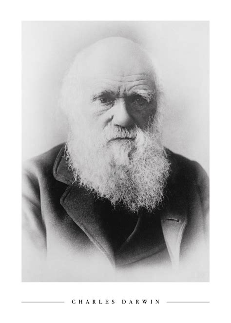 Charles Darwin Plakat Plakater Med Store Personligheder Som Darwin