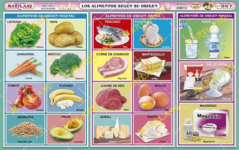 957 Los Alimentos SegÚn Su Origen Alimentos El Origen Figuras