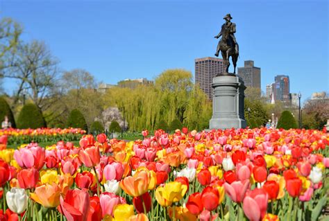Three Great Outdoor Spaces To Visit In Boston Orogold Store Locator
