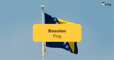 1 Guide To The Bosnian Flag And Its Fascinating History Ling App