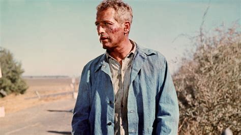 Cool Hand Luke Thrs 1967 Review Hollywood Reporter