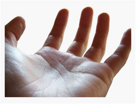 Open Palm Png Open Hand Palm Up Transparent Png Kindpng