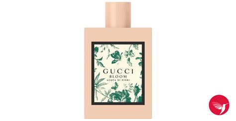 Gucci Bloom Acqua Di Fiori Gucci Perfume A New Fragrance