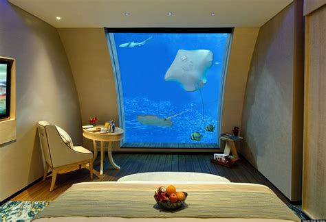 Singapore Aquarium Hotel New Sentosa Suites With Aquarium Windows