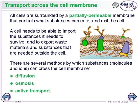 Transport Across Membranes Transport Across The Cell Membrane