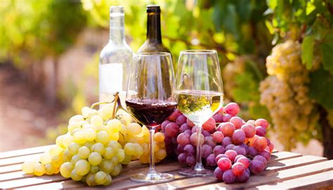 12 Types Of Grapes That Make Great Wine