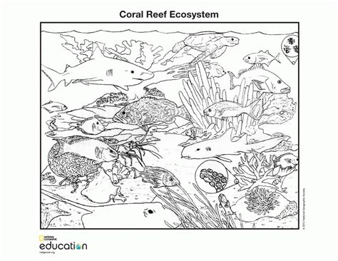 1171 x 1760 file type: Free Biome Coloring Pages - Coloring Home