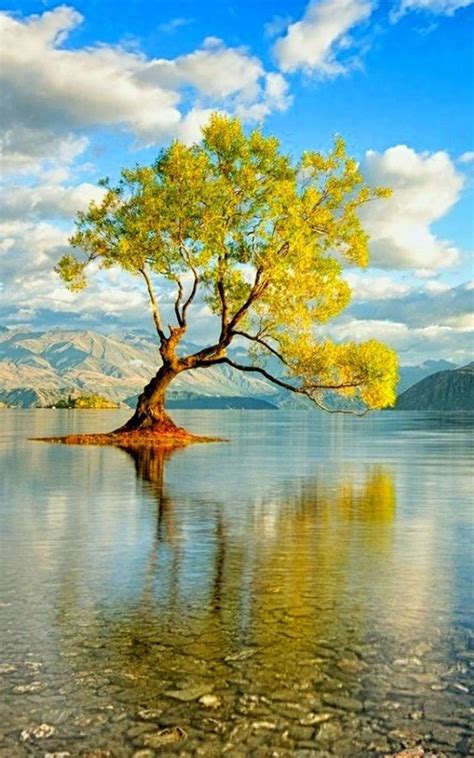 Nature Lock Screen Wallpaper For Android Apk Download