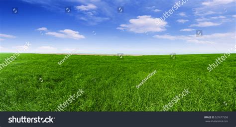 Grassy Field Images Stock Photos And Vectors Shutterstock