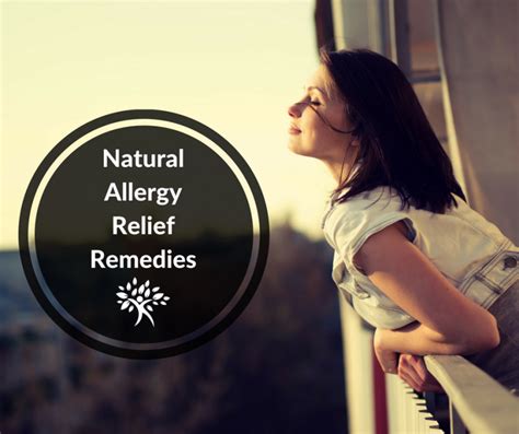 5 Natural Allergy Relief Remedies Natural Health Strategies