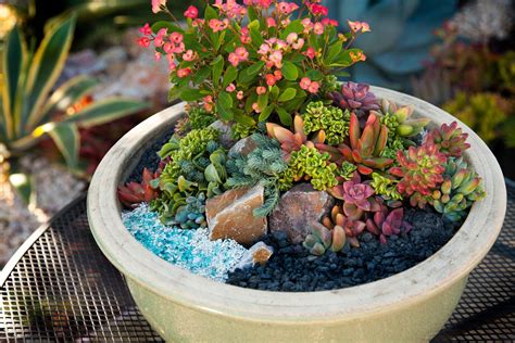 How To Make An Adorable Mini Succulent Garden In A Pot In 2021 Mini