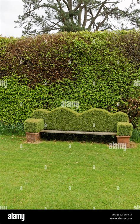 Topiary Garden Seat Backed By Beech Hedging Stock Photo Alamy