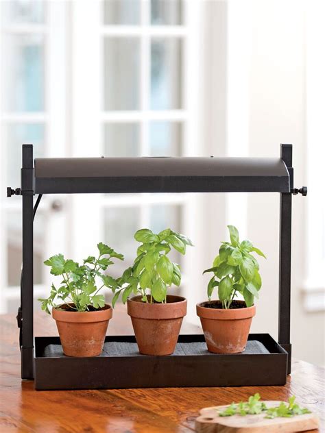 Micro Grow Light Garden Indoor Herb Garden Free Shipping Hydroponic