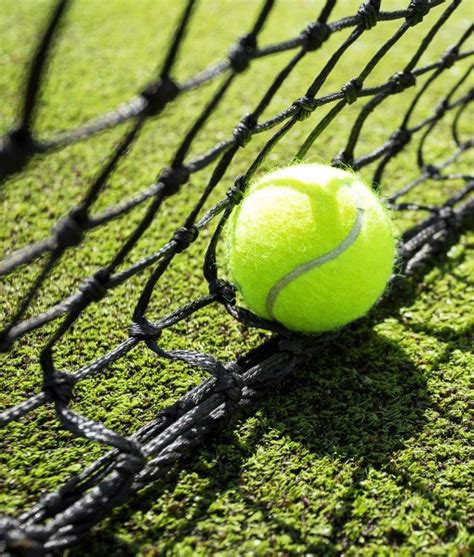 Baker city, oregon the only public grass tennis courts in the u.s. Tennis Court Grass Seed. Amenity Seeds Supplier - GSS ...
