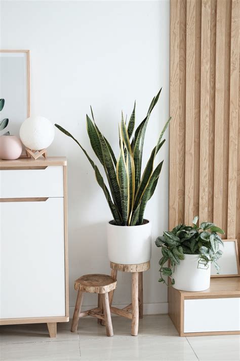 Actionable Tips To Ensure Healthy Indoor Air This Spring & Beyond