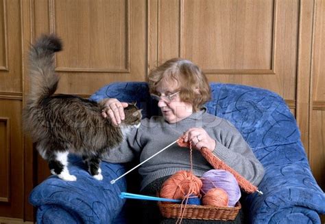 Image Result For Old Lady With Cats Cat Stock Cats Animal Articles