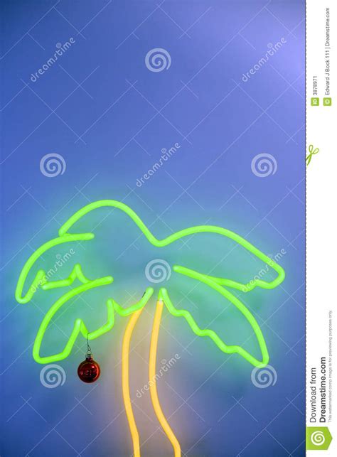 Neon Palm Tree Stock Image Image Of Background