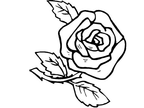 Pe langa frumusetea si parfumul sau deosebit, trandafirul a fost pretuit din antichitate pentru calitatile sale vindecatoare. Trandafir | Educatie | Copilul.ro