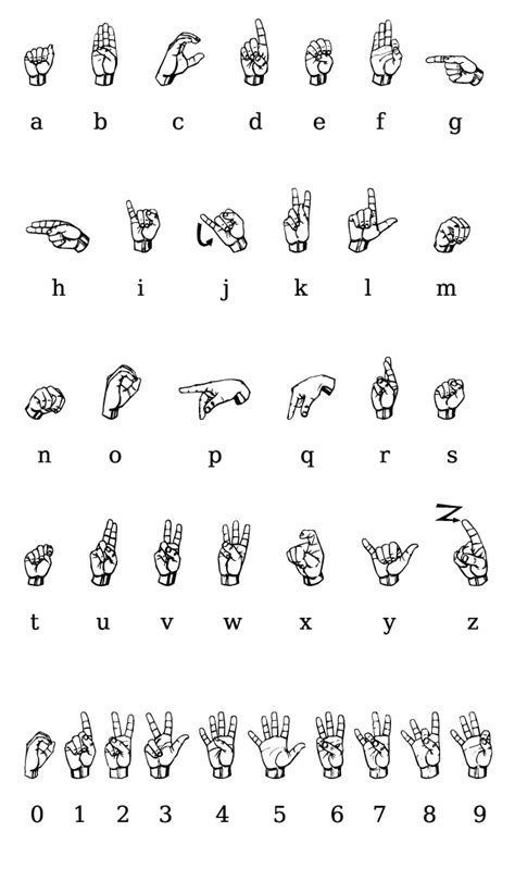 The american manual alphabet (ama) is a manual alphabet that augments the vocabulary of american sign language. September Brown Nursing