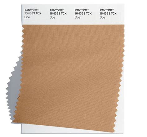 Pantones Tan Color Swatches With White Trim