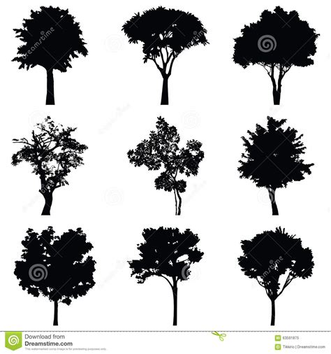 Set Of Trees Vector Silhouette Stock Vector Illustration Of Drawing