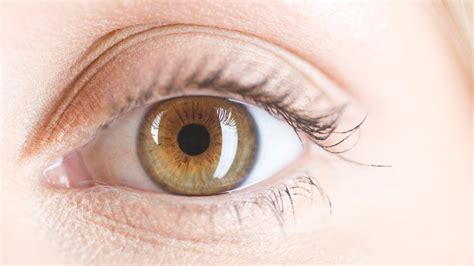 How To Tell If You Really Have Hazel Or Green Eyes