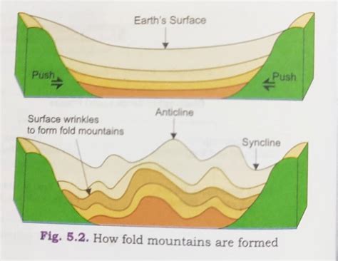 Types Of Folds Parts Features Diagram Fold Mountains 43 Off
