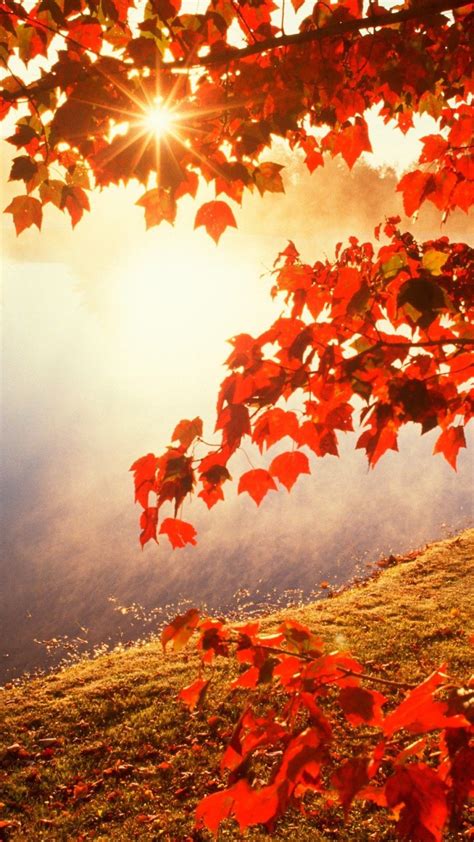 Autumn Wallpapers Top Free Autumn Backgrounds Wallpaperaccess