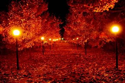 Autumn Night Wallpapers Fall Backgrounds Wallpaperaccess Wallpapercave