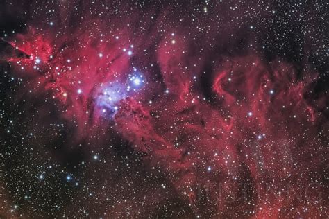 25 December 2015 Cone Nebula Ngc2264 High Quality Original Milky