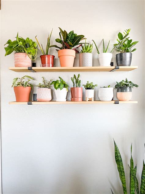 Floating Shelves With Plants Plant Ideas