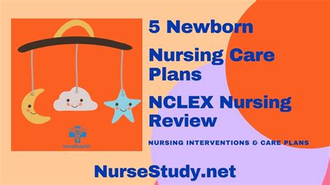 Newborn Nursing Diagnosis And Nursing Care Plans Nursestudynet