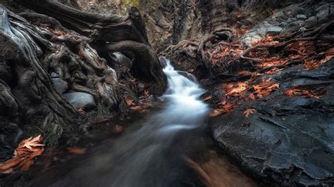 Waterfall Passing Through Trees In Dark Forest During