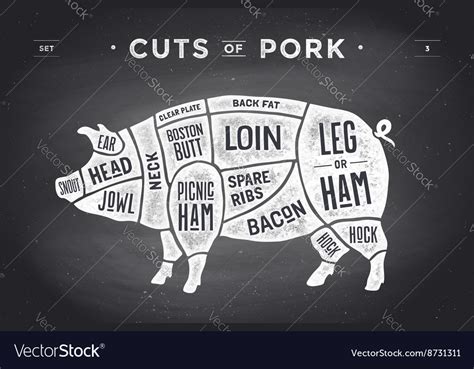 Cut Of Meat Set Poster Butcher Diagram Scheme Vector Image